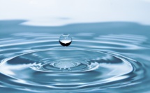 Journée mondiale de l'eau : "rendre l'invisible visible" 