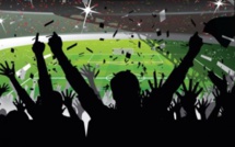 Typologie des supporters : Ce douzième homme de l'équipe.