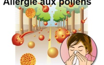 Allergies au pollen : des remèdes naturels existent