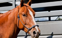 France : Pour faire face à la hausse des prix du carburant, cette femme va travailler à cheval