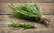 7 utilisations inhabituelles du romarin