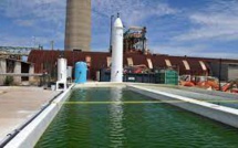 Captage et stockage de carbone : une gigantesque ferme d’algues au Maroc