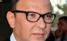 Le paludisme d’importation chez les voyageurs et chez les militaires