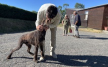 France : Un chien retrouve sa famille dix ans après avoir été volé
