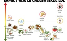 L'avocat contre le cholestérol