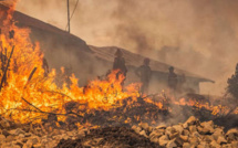Tétouan : L'incendie de forêt de Bni Idder maîtrisé