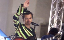 L'université du Texas proposera un cours sur Harry Styles