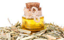 Le répulsif 100% naturel anti-moustiques