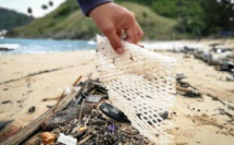 Et si vous contribuez à nettoyer les plages ?
