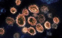 Un nouveau virus zoonotique détecté en Chine
