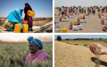 Prévenir une crise alimentaire en Afrique