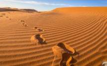 Perdus dans le désert du Sahara