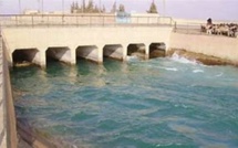 Dessalement d'eau et éolien : un grandiose projet agricole à Dakhla-Oued Ed-Dahab