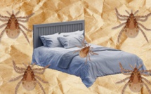 Ne pas faire son lit, le nouveau geste santé ?