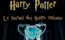 Une émission Harry Potter arrive sur TF1