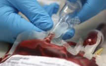 Du sang synthétique transfusé pour la première fois à des humains