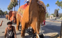 Spectacles de théâtre de rue avec « Ala Al Khachaba » sur la Chaîne Athakafia