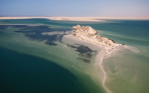 À la découverte de l'île du dragon à Dakhla