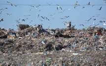 Pollution  : Le lixiviat empoisonne les sols de Casablanca.
