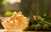 L’huile de calophylle, un trésor pour la peau