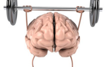 Le but : un cerveau en bonne santé