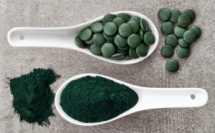 Qu’est-ce que la Spiruline ?