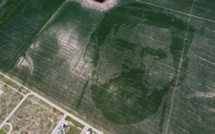 Un fermier trace le visage géant de Lionel Messi dans un champ de maïs