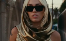 Lidl  : Les ventes des fleurs ont explosé suite au tube de Miley Cyrus