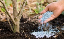 Microsoft et OCP Africa s’associent pour soutenir les agriculteurs