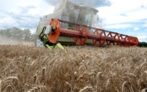 A la surprise générale, l’Egypte annonce son retrait de l’Accord international sur les céréales