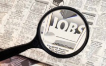 Plan Emploi : du SNE 2025 vers PNEE 2030 par les chiffres 