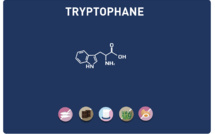 Le nutriment de la bonne humeur : Tryptophane et sérotonine
