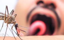 Pourquoi les moustiques piquent toujours les mêmes personnes ?
