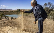 10 milliards de dirhams pour le programme anti-sécheresse et de soutien aux fellahs