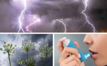 L'asthme d'orage existe bien !