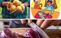 Sunions : le premier oignon qui ne fait pas pleurer quand on l’épluche