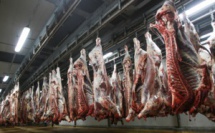 Aid Al Adha : découvrez les tarifs d'abattage et d'hébergement aux Abattoirs de Casablanca