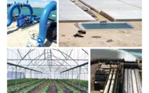 71 000 hectares de terres agricoles avec de l’eau de mer dessalée à l'étude