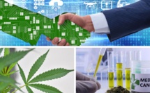 Le Maroc digitalisera l'écosystème du cannabis