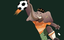 CAN-2024 : la Côte d'Ivoire livrera les infrastructures en août