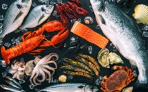 Nasser Bourita dévoile les 3 paramètres de renouvellement du protocole d’accord de pêche Maroc-UE