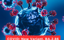 Les Etats-Unis face à la résurgence du COVID-19