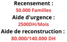 Recensement, aide d'urgence et aide financière directe de reconstruction