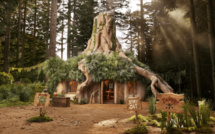 Airbnb propose la location de la résidence de Shrek en Écosse