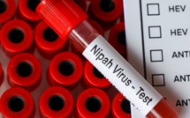 Nipah : virus qui sévit en Inde ?
