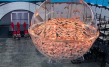 Squid Game : Netflix dévoile une bande-annonce captivante de sa téléréalité