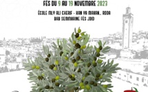 Le FEStival l’Olive au Coeur Edition 2023