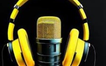  C’est quoi un Footix ?