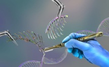 Autorisation du premier médicament utilisant Crispr-Cas9 