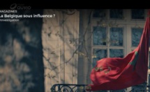 La RTBF, ou la grenouille qui se veut faire aussi grosse que le bœuf